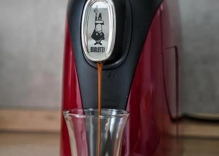 Ficuriniashouse-cozy Flat With Parking 別荘